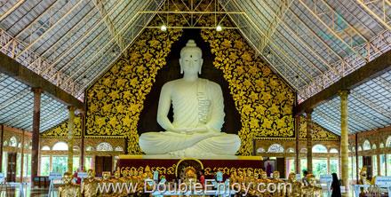 ทัวร์เชียงคาน ภูเรือ จ.เลย - ภูทับเบิก เขาค้อ จ.เพชรบูรณ์ 4 วัน 2 คืน (Van)