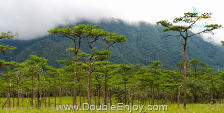 ทัวร์ภูสอยดาว ทริปภูสอยดาว จ.อุตรดิตถ์ [พักเต็นท์] 4 วัน 2 คืน (Van)