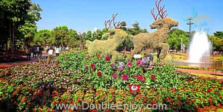 โปรแกรมทัวร์เชียงราย ดอยตุง แม่สาย วัดร่องขุ่น จ.เชียงราย 3 วัน 1 คืน (Van)