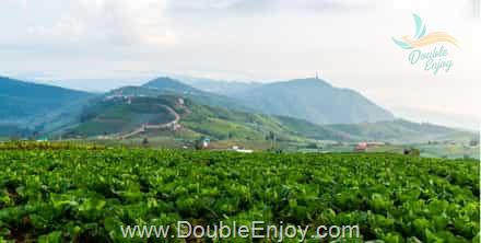 ทัวร์เขาค้อ ภูทับเบิก ภูหินร่องกล้า ทุ่งแสลงหลวง 3 วัน 1 คืน (Van)