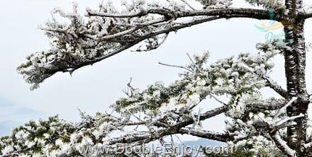 ทัวร์จิ่วจ้ายโกว ฤดูหนาว 6 วัน 5 คืน (TG) - ต๋ากู่ปิงชวน จิ่วจ้ายโกว เล่อซาน ง้อไบ๊ [ไม่เข้าร้านรัฐบาล]