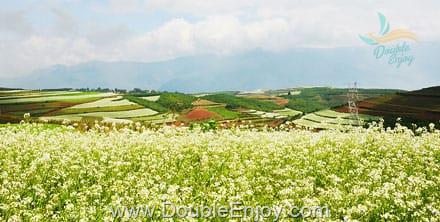 โปรแกรมทัวร์คุนหมิง ตงชวน เจี้ยวจื่อซาน ฮุ่ยเจ๋อ 5 วัน 4 คืน (TG) - ไม่เข้าร้านรัฐบาล