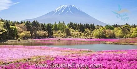 โปรแกรมทัวร์ญี่ปุ่น HAKUBA KAMIKOCHI SHIBAZAKURA MACAU 7 วัน 5 คืน (NX)