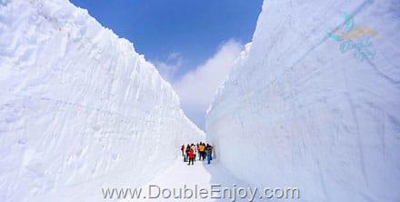 โปรแกรมทัวร์ญี่ปุ่น กำแพงหิมะ ชิราคาวาโกะ ทุ่งดอกพิ้งค์มอส 6 วัน 4 คืน (XJ)