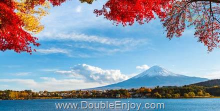 ทัวร์ญี่ปุ่น TOKYO LAVENDER FUJI FREEDAY 5 วัน 3 คืน (XJ)