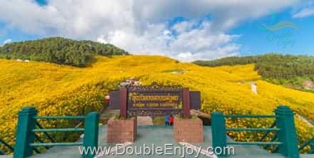 ทัวร์ทุ่งบัวตอง ปาย ปางอุ๋ง แม่ฮ่องสอน 3 วัน 2 คืน (FD)