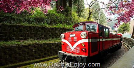 โปรแกรมทัวร์ไต้หวัน ไทจง เจียอี้ นั่งรถไฟอาลีซาน ชมดอกไม้ บูราโน่แห่งไต้หวัน 5 วัน 3 คืน (CI)