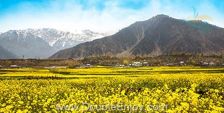 โปรแกรมทัวร์อินเดีย ศรีนาคา กุลมาร์ค พาฮาลแกรม โซนามาร์ค 6 วัน 4 คืน (AI)