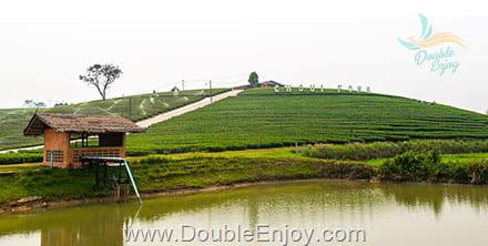 โปรแกรมทัวร์เชียงราย เชียงใหม่ ลำพูน [เทศกาลดอกไม้เมืองหนาว] 5 วัน 3 คืน (Van)