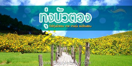 ทัวร์ทุ่งบัวตอง ปาย ปางอุ๋ง แม่ฮ่องสอน 4 วัน 2 คืน (Van)