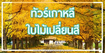 โปรแกรมทัวร์เกาหลี ใบไม้เปลี่ยนสี 5 วัน 3 คืน (BX)