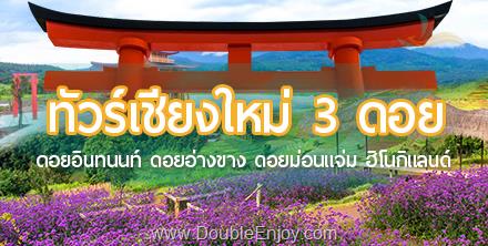 ทัวร์เชียงใหม่ ม่อนแจ่ม ดอยอ่างขาง 4 วัน 2 คืน (Van)