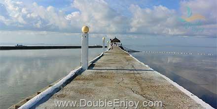 โปรแกรมทัวร์ฟิลิปปินส์ เกาะเซบู ดำน้ำชมฉลามวาฬ 5 วัน 2 คืน (PR)