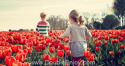 โปรแกรมทัวร์ตุรกี ตุรเคีย อิสตันบลู คัปปาโดเกีย ปามุคคาเล คูซาดาซี ชานัคคาเล (เทศกาลดอกทิวลิป) 8 วัน 6 คืน (TK)