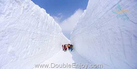 โปรแกรมทัวร์ญี่ปุ่น NAGOYA กำแพงหิมะ คามิโคจิ ฟูจิ 6 วัน 4 คืน (XJ)