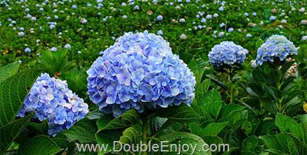 ทัวร์เวียดนามใต้ โฮจิมินห์ มุยเน่ ดาลัด ญาจาง สวนสนุกวินเพิร์ลแลนด์ 4 วัน 3 คืน (VN)