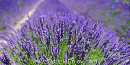 โปรแกรมทัวร์ตุรกี AMAZING TURKEY 9 วัน 7 คืน (TK)