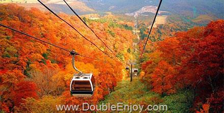 โปรแกรมทัวร์ญี่ปุ่น HOKKAIDO HAKODATE SONGKRAN 6 วัน 4 คืน (TG)