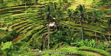 โปรแกรมทัวร์อินโดนีเซีย BALI มนตร์เสน่ห์แห่งเกาะบาหลี 4 วัน 3 คืน (FD)