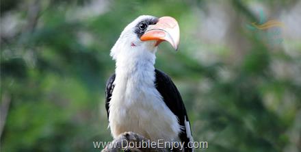 ทัวร์ไหว้พระธาตุ ชัยนาท 2 วัน 1 คืน (Van)