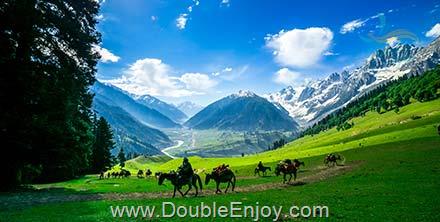 โปรแกรมทัวร์อินเดีย แคชเมียร์ ศรีนาคา พาฮาลแกม 5 วัน 4 คืน (6E)