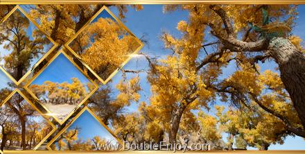 ทัวร์ป่าหูหยาง ป่าสีทอง ตำนานต้นไม้สามพันปี @มองโกเลียใน 6 วัน 4 คืน (MU) [ไม่เข้าร้านรัฐบาล]