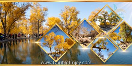 ทัวร์ป่าหูหยาง หลิงจิงถ่า จางเย่ ตุนหวง 6 วัน 5 คืน (TG) [ไม่เข้าร้านรัฐบาล]