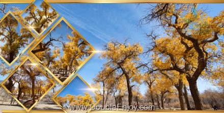 ทัวร์ป่าหูหยางโบราณ 3,000 ปี มองโกเลียใน จางเย่ ตุนหวง 8 วัน 7 คืน (TG) [บินภายใน 3 เที่ยว - ไม่เข้าร้านรัฐบาล]