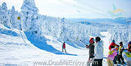 ทัวร์ญี่ปุ่น WINTER SWEET WITH SNOW MONSTER 7 วัน 4 คืน (TG)