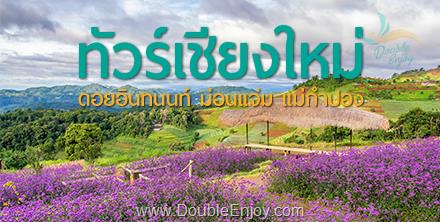 ทัวร์เชียงใหม่ ดอยอินทนนท์ ม่อนแจ่ม แม่กำปอง 4 วัน 2 คืน (Van)