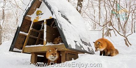 โปรแกรมทัวร์ญี่ปุ่น เซนได นิกโก้ ลานสกีซาโอะ 6 วัน 4 คืน (XJ)