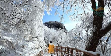 โปรแกรมทัวร์เฉิงตู กวงวู่ซาน ซีหลิงซาน 6 วัน 3 คืน (8L)