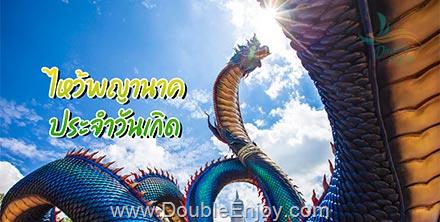 ทัวร์ไหว้พญานาคประจำวันเกิด (จันทร์ พุธ พฤหัส ศุกร์ เสาร์ อาทิตย์) หนองคาย อุดรธานี นครพนม มุกดาหาร อุบลราชธานี นครราชสีมา 4 วัน 2 คืน (Van)