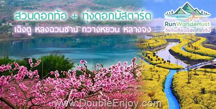 ทัวร์เฉิงตู ทุ่งดอกมัสตาร์ด หลงฉวนซาน สวนดอกท้อ กวางหยวน หลางจง 5 วัน 4 คืน (TG) [RunWanderlust : วิ่งกับเที่ยวเรื่องเดียวกัน]