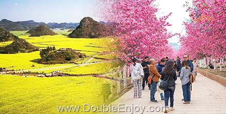 โปรแกรมทัวร์จีน Romantic Flower Escape คุนหมิง หุบเขาซากุระ ทุ่งดอกมัสตาร์ด 5 วัน 4 คืน (MU)