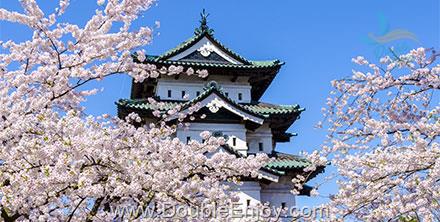 โปรแกรมทัวร์ญี่ปุ่น KYOTO KOBE OSAKA ฟรีเดย์ 1 วัน 6 วัน 3 คืน (JL)