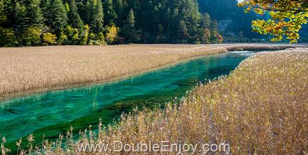 ทัวร์เฉิงตู ปี้เผิงโกว หวงหลง จิ่วจ้ายโกว [เข้า 3 วันเต็ม] 8 วัน 7 คืน (TG) - ไม่เข้าร้านรัฐบาล