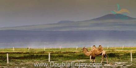 โปรแกรมทัวร์จีน ปักกิ่ง มองโกเลียใน 6 วัน 5 คืน (TG)