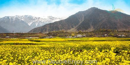 โปรแกรมทัวร์อินเดีย แคชเมียร์ ศรีนาคา กุลมาร์ค พาฮาแกรม โซนามาร์ค 6 วัน 5 คืน (6E)