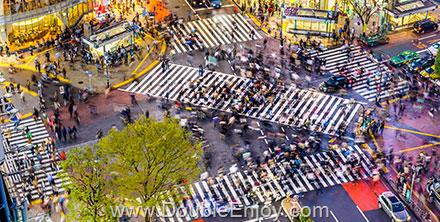 ทัวร์ญี่ปุ่น OSAKA TOKYO THE GOLDEN ROUTE 7 วัน 4 คืน (SQ)