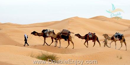 ตูนิเซีย